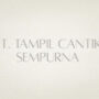 PT Tampil Cantik Sempurna Logo