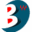 Bing-electronic Logo