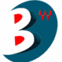 Bing-electronic Logo